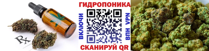 Canna-Cookies марихуана  Купить где  Туапсе 