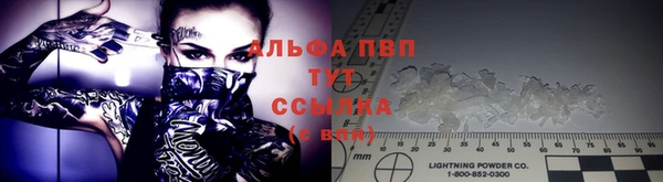 молекула духа Нягань