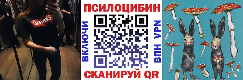 Купить  Туапсе  Галлюциногенные грибы Psilocybine cubensis 